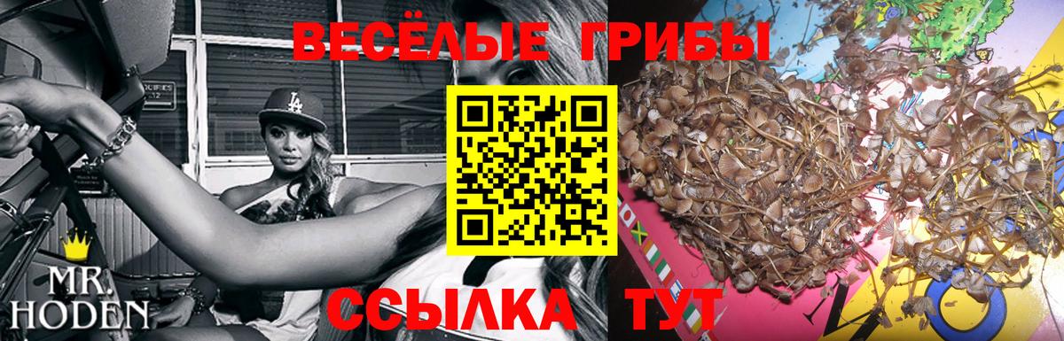 Конаково  Псилоцибиновые грибы Magic Shrooms  Вход с VPN 